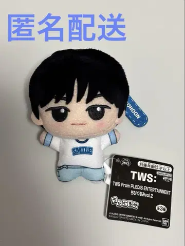 TWS From PLEDIS ENTERTAINMENT SD 인형 도훈