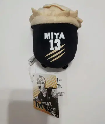 하이큐!! 미야 아츠무 캐릭터 마스코트 MSBY