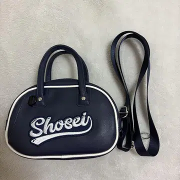 오히라 쇼세이 미니 보스턴