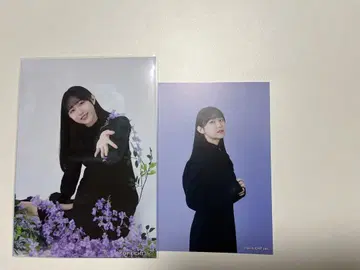 히츠지미야 히나 2L 브로마이드 & 엽서 세트