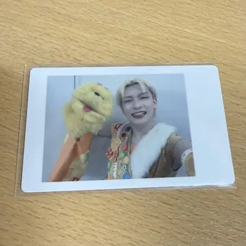 팬더드래곤 요우타 하피카