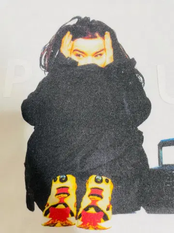 APPLEBUM BJORK 티셔츠 비요크