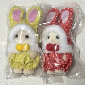 실바니아 복권 세트