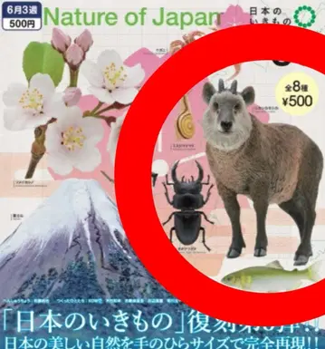 4종 세트 Nature of Japan 일본의 생물 03