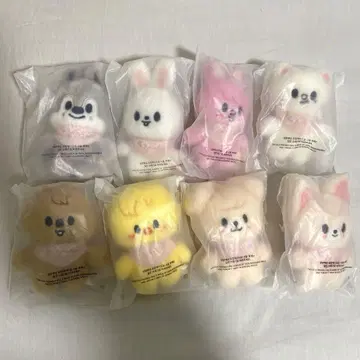 StrayKids SKZ 5'clock 펜미 10cm 인형 컴프 세트