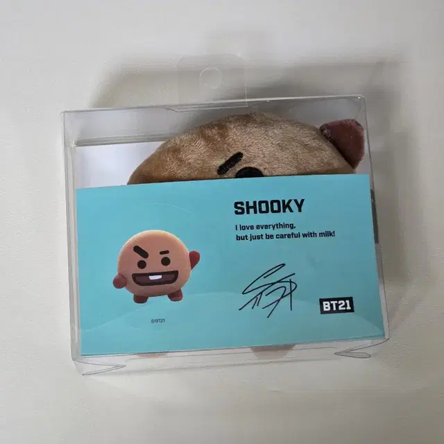 Bt21 슈키 손목쿠션