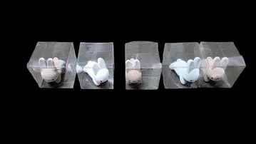 귀여운 피규어 5개 세트