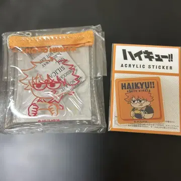 하이큐!! 히나타 쇼요