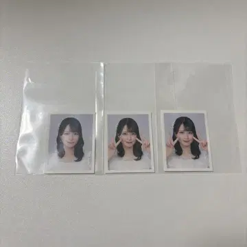 사사키 마이카 ID 사진 vol.1 무도관