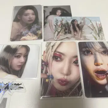 사쿠라 트레이딩 카드 세트