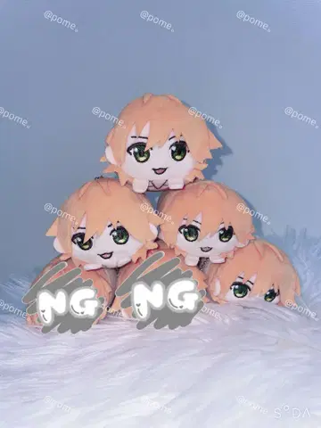 젤 군 모치코로누이
