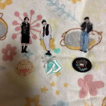 키마타 쇼야 묶음 판매