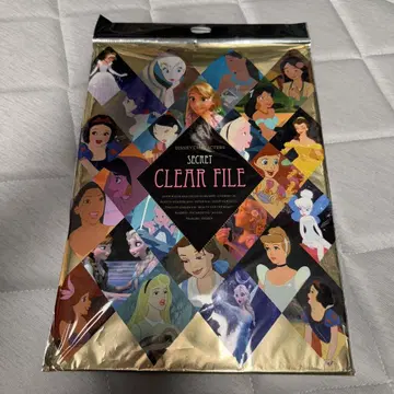 Disney Secret Clear File