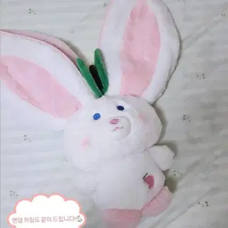 토끼 까꿍! 토끼 나왔다~들어갔다?! | 브랜드 중고거래 플랫폼, 번개장터