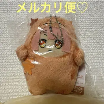 택 포함 새상품 아이나나 몬누이 와루모후 미츠키