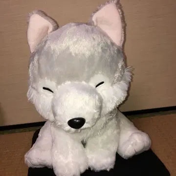 모후토 늑대 모두 친구 울트라 BIG 봉제 인형 우루짱 만주