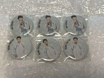 하이큐 캔뱃지 오이카와 이와이즈미 6개 세트