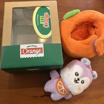 [ bt21 ] ORANGE PARTY MANG 망