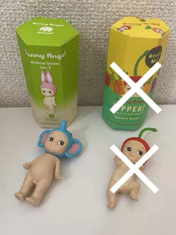 소니 엔젤 코끼리
