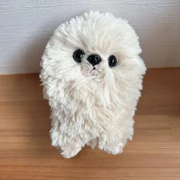 썬레몬 포메라니안 봉제 인형 택 없음 팝스