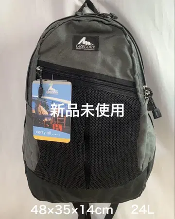 [ 실버 택 ] GREGORY 단종품 made in USA 백팩 데이팩
