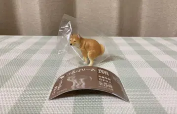훈마리~누 시바견 시크릿 훈마리~누 피규어