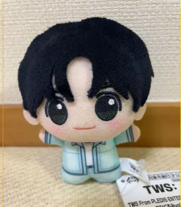 한진 TWS From PLEDIS ENTERTAINMENT SD 인형