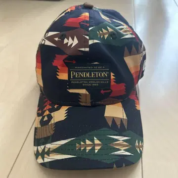 Pendleton 네이티브 무늬 야구 모자