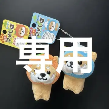 19 여행하는 콩 2개 세트