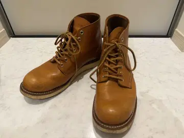 레드윙 9871 USA 개 태그