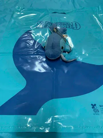 가모가와 씨월드 돌고래 부모와 새끼