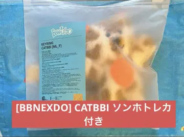 BOYNEXTDOOR 보넥도 펑크드 봉제 인형 키링 송호