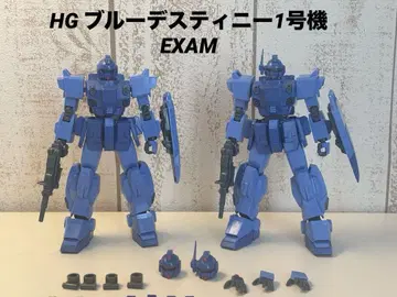 HG 블루 데스티니 EXAM
