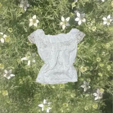 모리걸 셔츠 블라우스 레이스