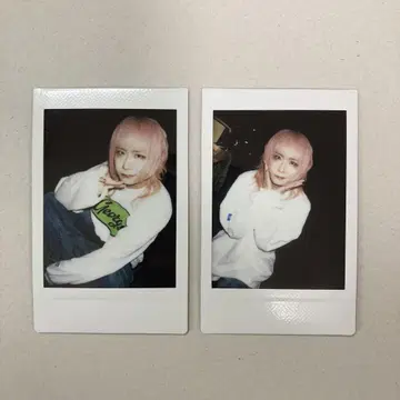 나방과 나비  잇시키 히요리 폴라로이드 2장