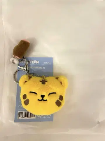 SEVENTEEN 호시 MINITEEN 팝업 키링