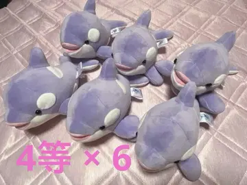 고베 스마 씨월드 오르카 복권 샤치 봉제 인형 보라색 4등