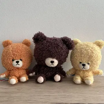 곰 학교 재키 루루 로로 봉제 인형