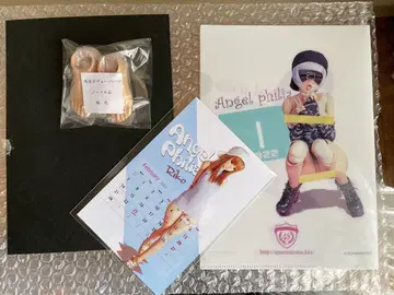 새상품 ANGEL PHILIA 외피 바디 부품 흑갈색 노멀 발 외 세트