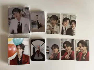 SEVENTEEN 세부치 원우 CARAT판 세트