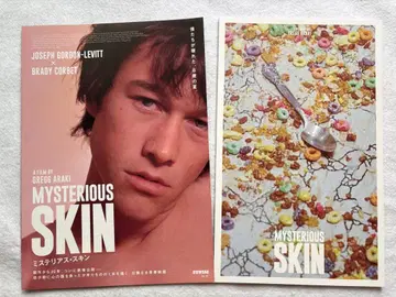 영화 미스테리어스 스킨 Mysterious Skin 팜플렛