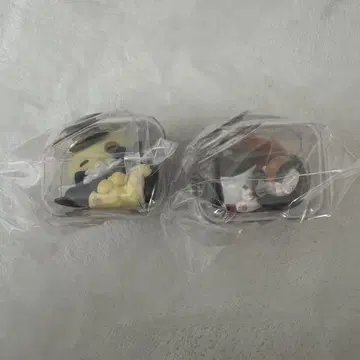 원피스 잘 자 냥피스 냐앙! 에이스 사보
