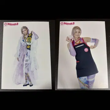 MARIGOLD 마리골드 #9 텐레이 코키 포트레이트 프로레슬링