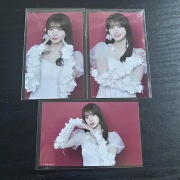 노기자카46 스가하라 사츠키 미니 브로마이드 -
