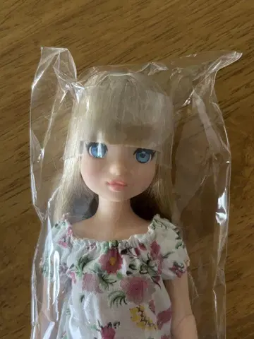 petworks 펫웍스 Fresh ruruko 17AZ girl