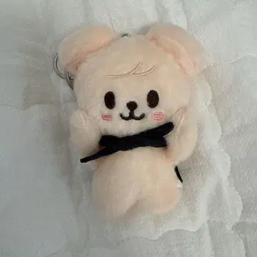 스키즈 10cm 인형 승민 skzoo 마그넷 퍼핌 승민