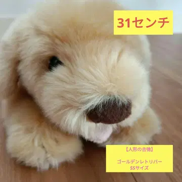 인형 요시토쿠 골든 리트리버 봉제 인형 SS 사이즈