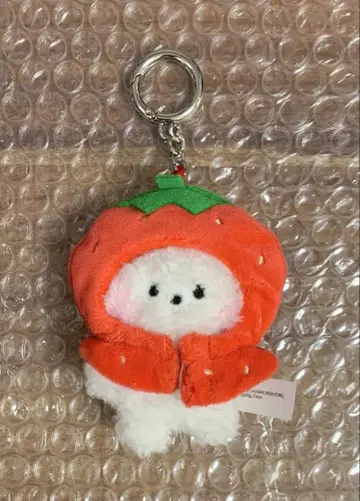 BTS minini fruits 후르츠 키링 RJ