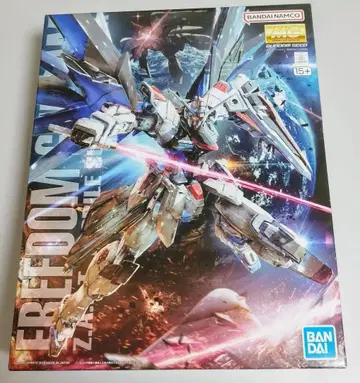 MG 1/100 프리덤 건담 Ver.2.0
