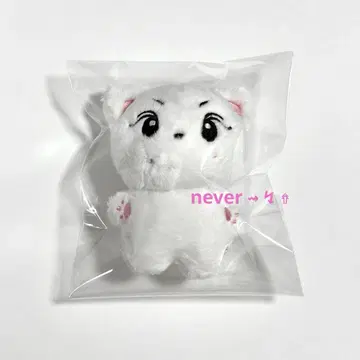 ENHYPEN 에나이프 정원 봉제 인형 10cm